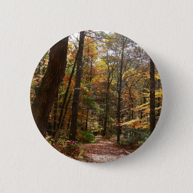 Bóton Redondo 5.08cm Sunlit Fall Trail no Parque Estadual de Laurel Hil (Frente)