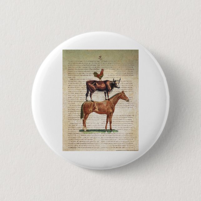 Bóton Redondo 5.08cm Suporte C1.tif da fazenda NOB12 (Frente)