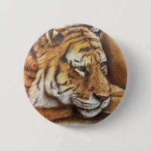 Bóton Redondo 5.08cm Tigre de Bengal bonito, esboço da mão