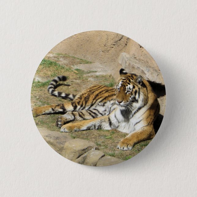 Bóton Redondo 5.08cm Tigre de dormir (Frente)