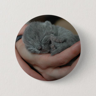 Bóton Redondo 5.08cm Tiny Baby Blue Kitten