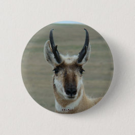 Bóton Redondo 5.08cm Tiro na cabeça de um jovem antílope-pronghorn A30