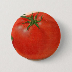 Bóton Redondo 5.08cm Tomate excelente BIG suculento