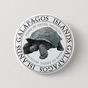 Bóton Redondo 5.08cm Tortura das Ilhas Galápagos