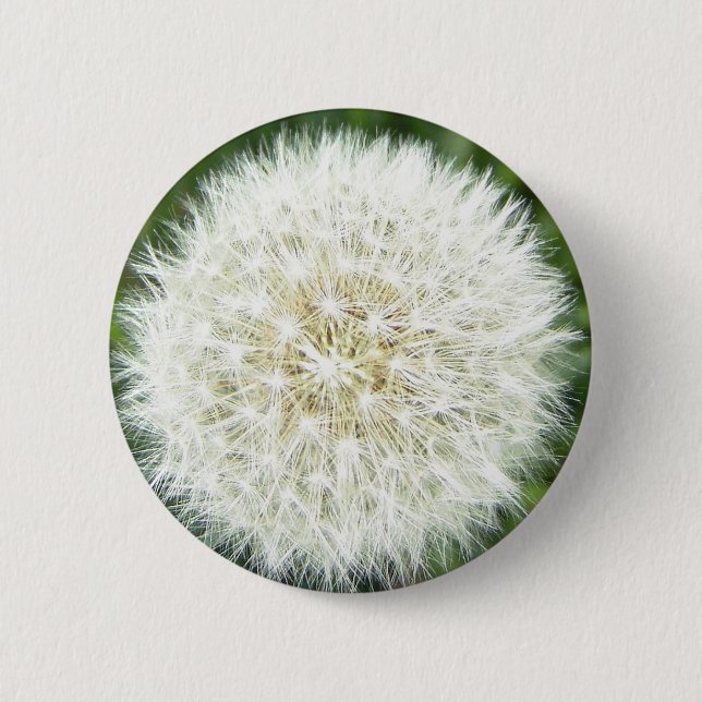 Bóton Redondo 5.08cm touro (Frente)