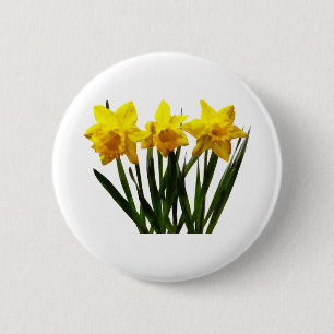 Bóton Redondo 5.08cm Trio do Daffodil
