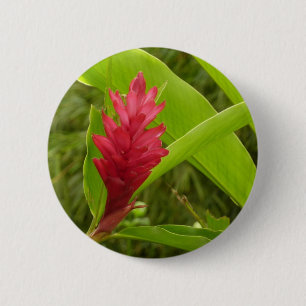 Bóton Redondo 5.08cm Tropical de Flor Vermelho Ginger (Alpinia)