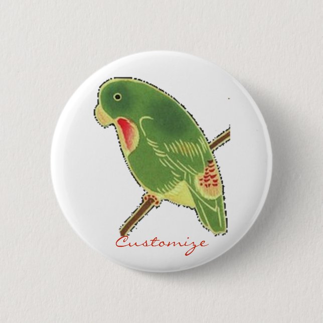 Bóton Redondo 5.08cm Tropical Green Parakeet Thunder_Cove (Frente)