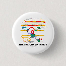 Bóton Redondo 5.08cm Tudo interior acima emendado (emenda do RNA)