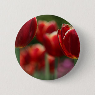 Bóton Redondo 5.08cm Tulipas