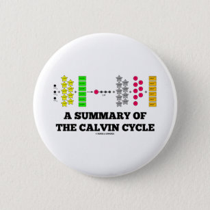 Bóton Redondo 5.08cm Um sumário do ciclo de Calvin (fotossíntese)