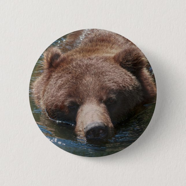 Bóton Redondo 5.08cm Urso Cinzento (Frente)