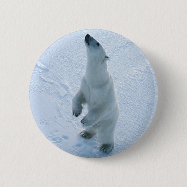 Bóton Redondo 5.08cm Urso polar ereto (Frente)