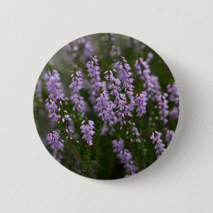 Bóton Redondo 5.08cm Urze comum (Calluna vulgar)