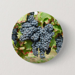 Bóton Redondo 5.08cm Uvas de vinho