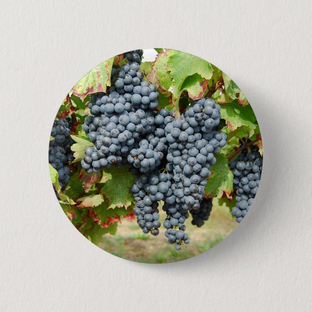 Bóton Redondo 5.08cm Uvas de vinho (Frente)