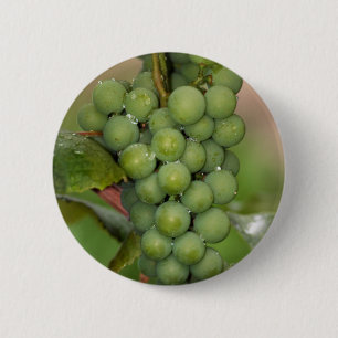 Bóton Redondo 5.08cm Uvas do Seneca