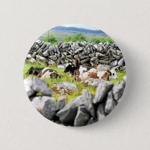 Bóton Redondo 5.08cm Vacas Moo