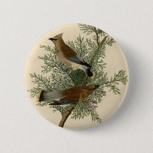 Bóton Redondo 5.08cm Vaxagem Audubon Cedar