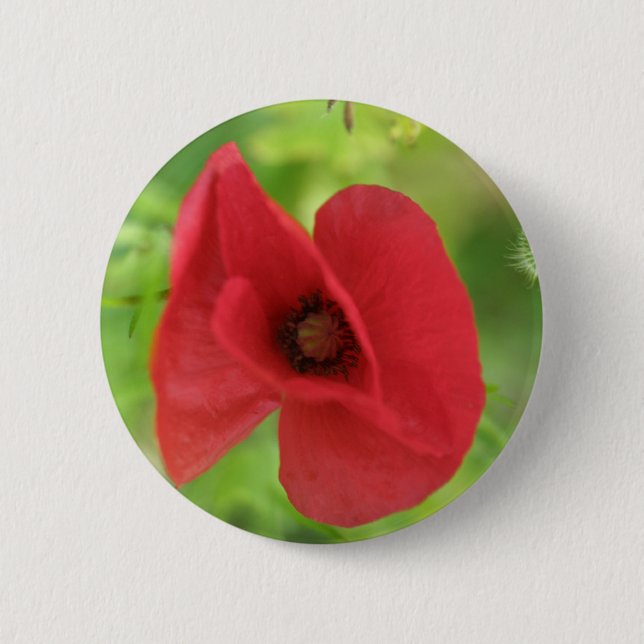 Bóton Redondo 5.08cm Vermelho da papoila (Frente)