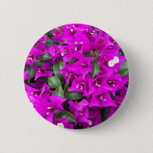 Bóton Redondo 5.08cm Vibrant Purple Bougainvillea flowers