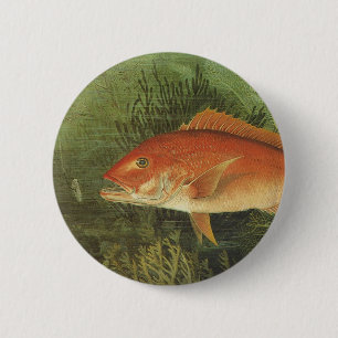 Bóton Redondo 5.08cm Vida Marinha Antiga, Peixe-Luçano Vermelho no Ocea