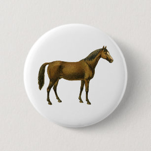 Bóton Redondo 5.08cm Vintage Horse
