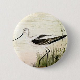 Bóton Redondo 5.08cm Vintage Marine Life Shorebird, Aves de Cova