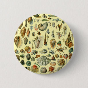 Bóton Redondo 5.08cm Vintage Mollusk Shell Seashell Art