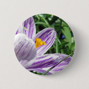 Bóton Redondo 5.08cm Violet primavera crocus