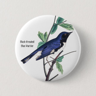 Bóton Redondo 5.08cm Warbler Azul, Audubon, Pino de Pássaro, com gargal