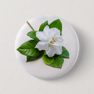 Bóton Redondo 5.08cm White Gardenia Flowers