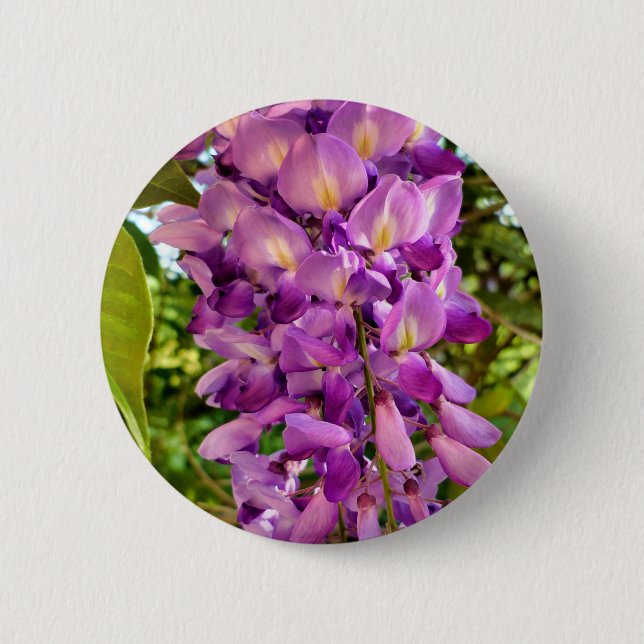Bóton Redondo 5.08cm Wisteria Bloom Crachá (Frente)