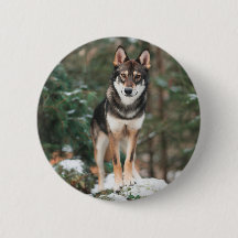 Wolfdog Button