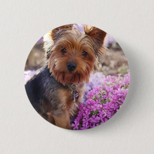 Bóton Redondo 5.08cm Yorkshire Terrier