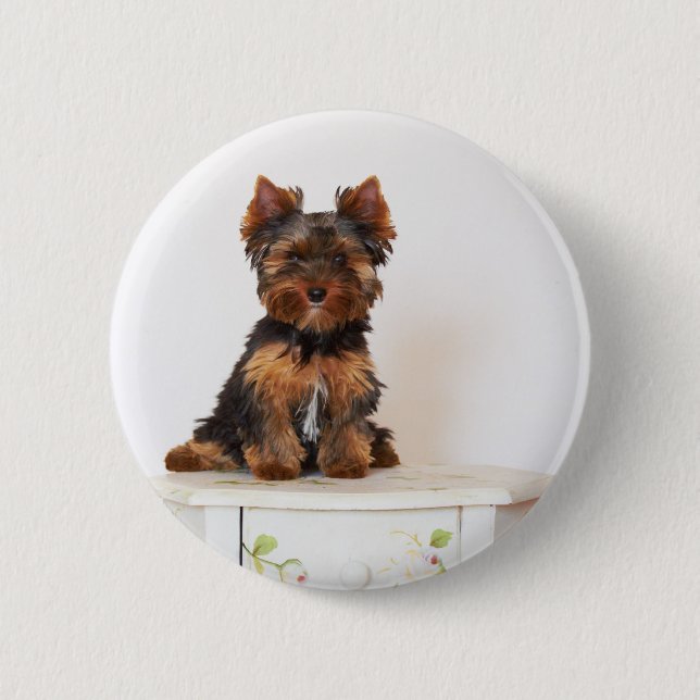 Bóton Redondo 5.08cm Yorkshire terrier (Frente)