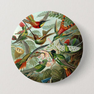 Bóton Redondo 7.62cm 12 raças americanas de aves de caça pintadas des