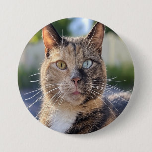 Bóton Redondo 7.62cm Adicionar Personalização de Foto de Cat