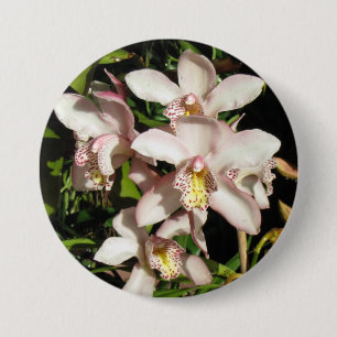 Bóton Redondo 7.62cm Botão Cymbidium Orchids