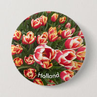 Botão Holanda do Campo das Tulipas Vermelhas e Bra