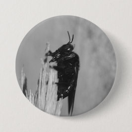 Bóton Redondo 7.62cm Bumblebee