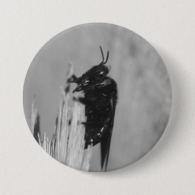 Bóton Redondo 7.62cm Bumblebee (Frente)