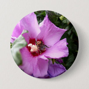 Bóton Redondo 7.62cm Bumblebee na Flor de Hibiscus