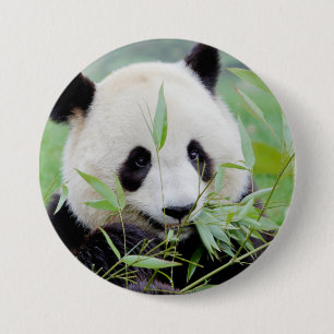 Bóton Redondo 7.62cm Button Photo gigant panda , animais 0026.
