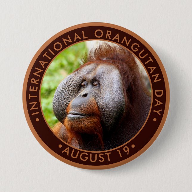 Bóton Redondo 7.62cm Dia Internacional do Orangutan (Frente)