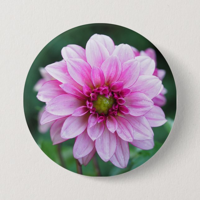 Bóton Redondo 7.62cm Flor Dahlia (Frente)