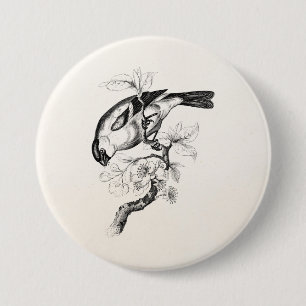 Bóton Redondo 7.62cm Ilustração do pássaro do Bullfinch dos 1800s do
