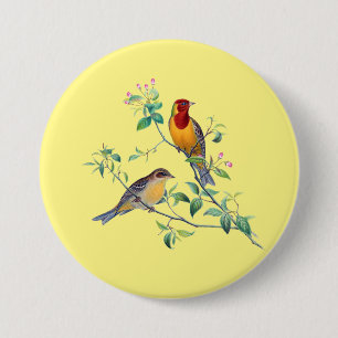 Bóton Redondo 7.62cm Pássaros Bunting, 