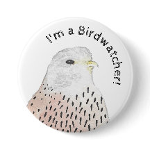 Sou um Birdwatcher Kestrel
