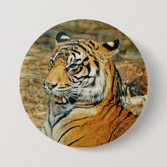 Bóton Redondo 7.62cm Tigre (Frente)